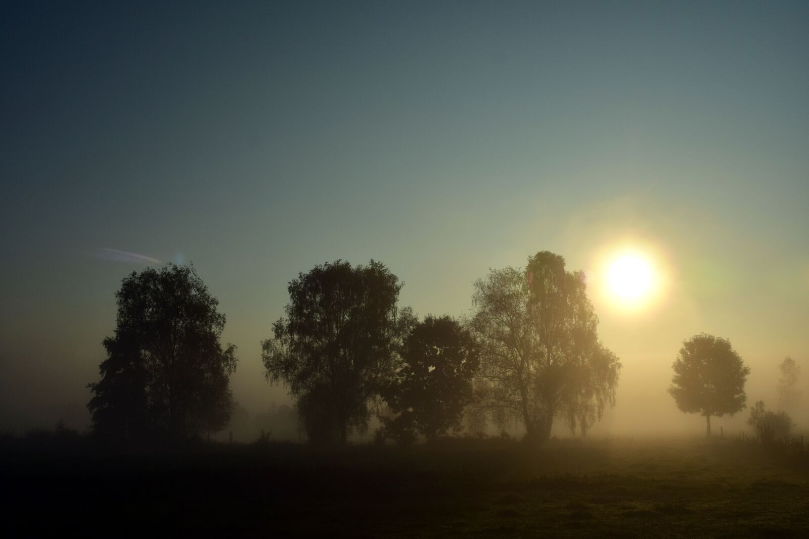 Nikon D3300 sample photo. Fog, landscape, nature photography