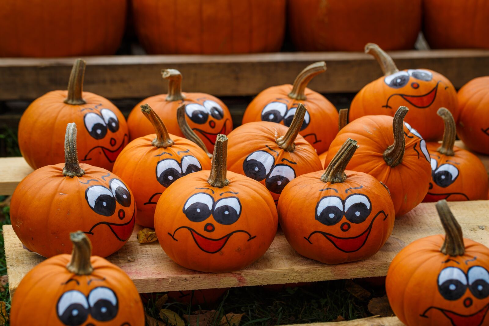 Canon EF 100mm F2.8L Macro IS USM sample photo. Pumpkins, figures, autumn photography