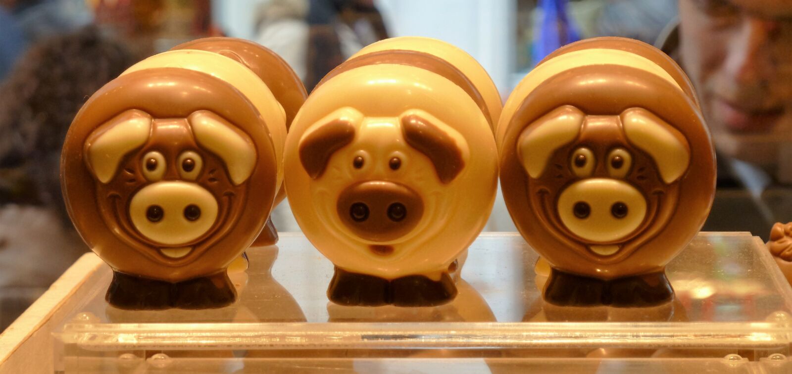 Panasonic Lumix DMC-ZS5 (Lumix DMC-TZ8) sample photo. Food, chocolate, pigs photography