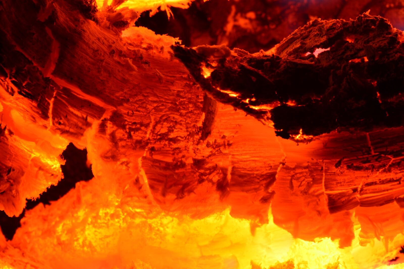 Nikon D7100 sample photo. Hot, flame, heat photography