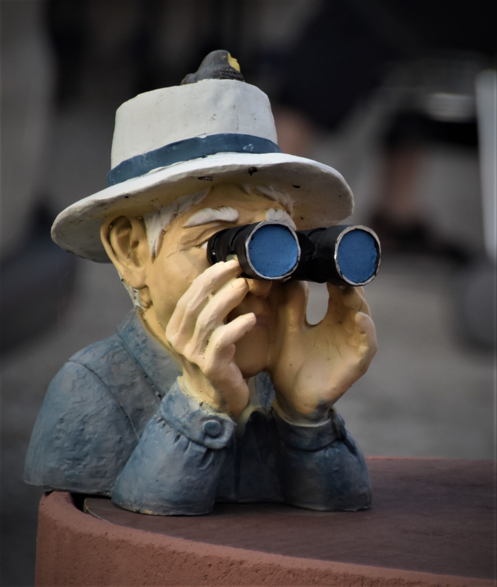 Nikon D5600 sample photo. Watch, neighbor, observation photography