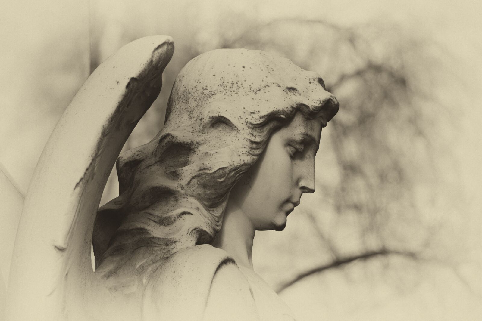 Canon EOS 700D (EOS Rebel T5i / EOS Kiss X7i) sample photo. Angel, cemetery, mourning photography