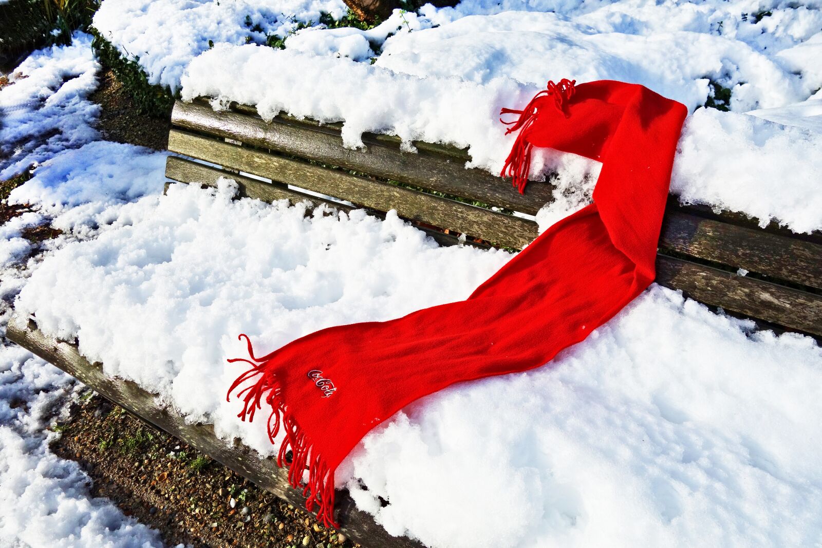 Sony Cyber-shot DSC-RX100 sample photo. Scarf, red scarf, woolen photography