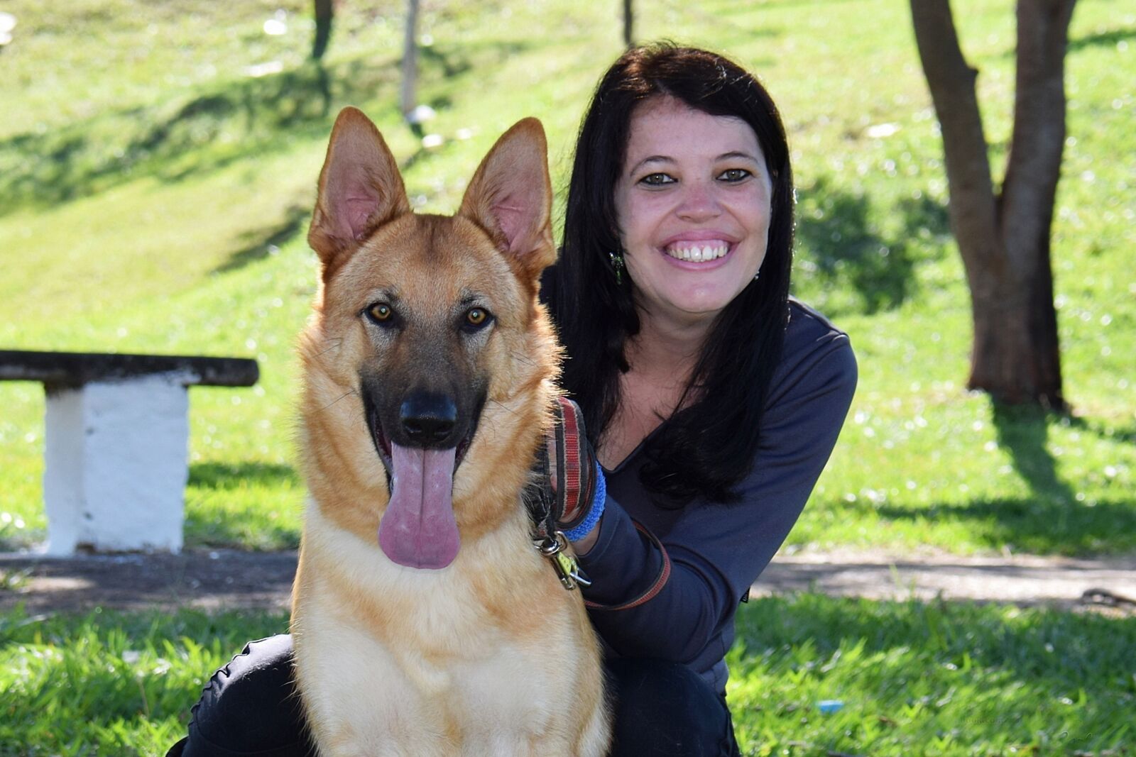 Nikon D5300 sample photo. Portrait, dog, young photography