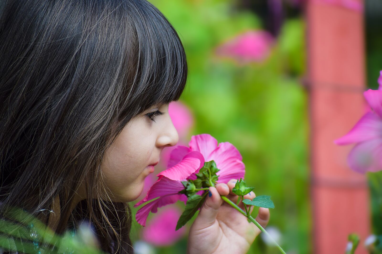 Nikon D3300 sample photo. Beautiful, child, cute photography