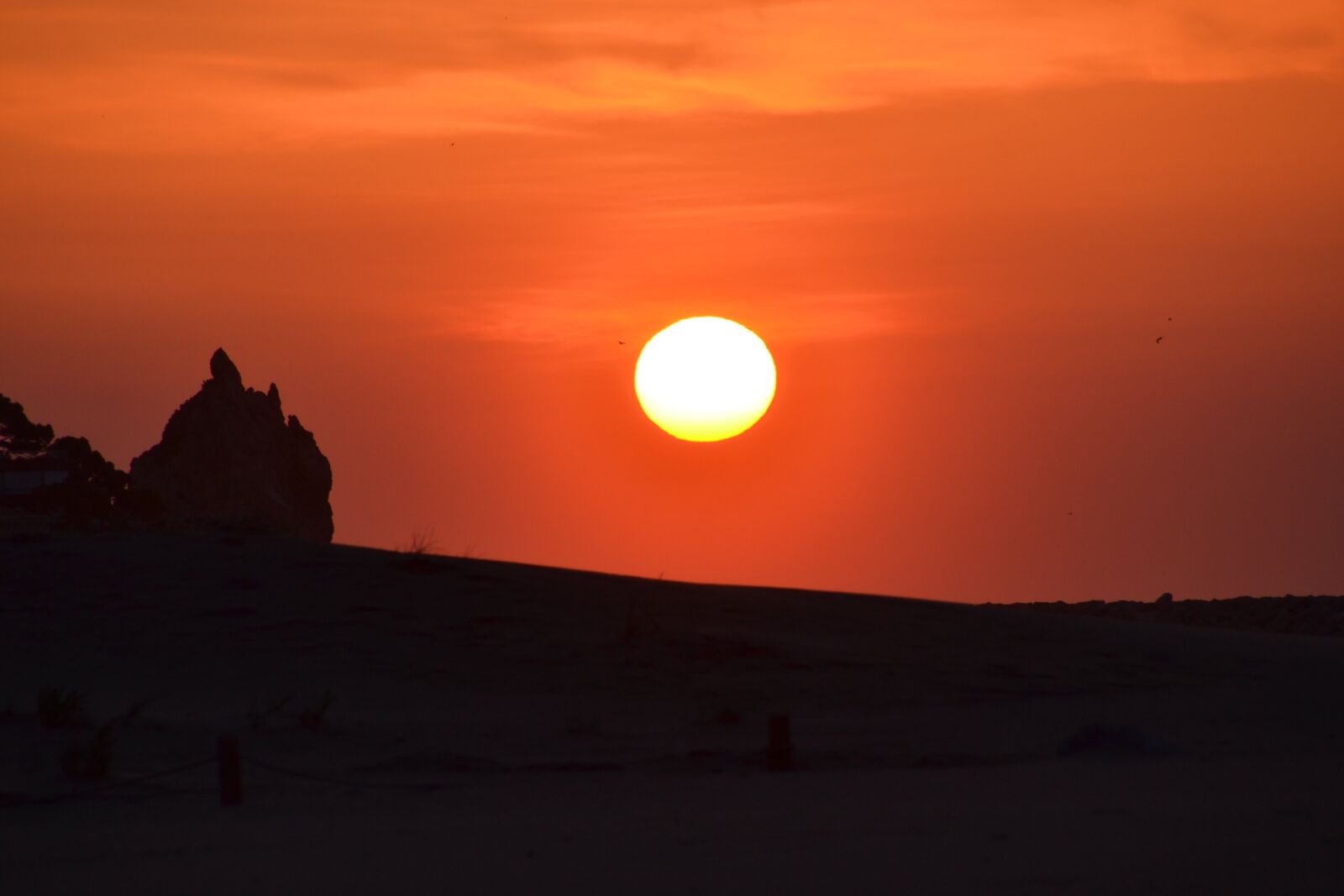 Nikon D3100 sample photo. Sunrise, sky, coast photography