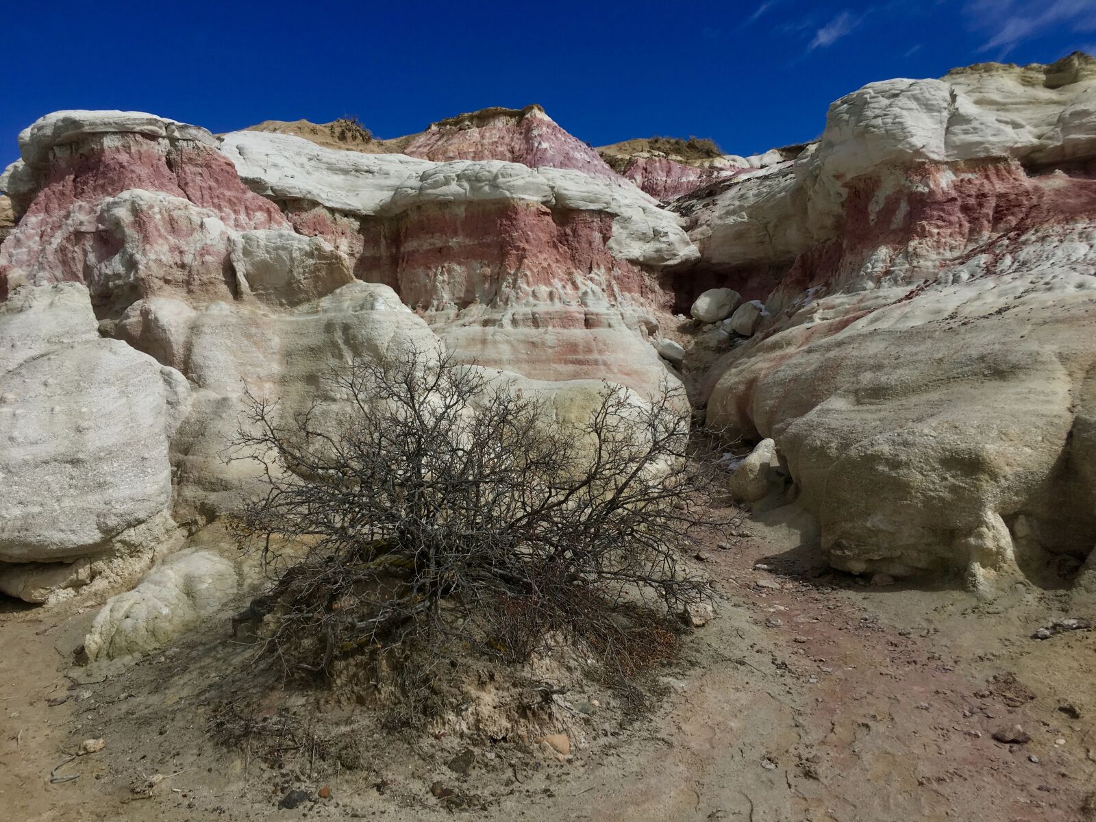 iPhone SE back camera 4.15mm f/2.2 sample photo. Paint mines, colorado, calhan photography