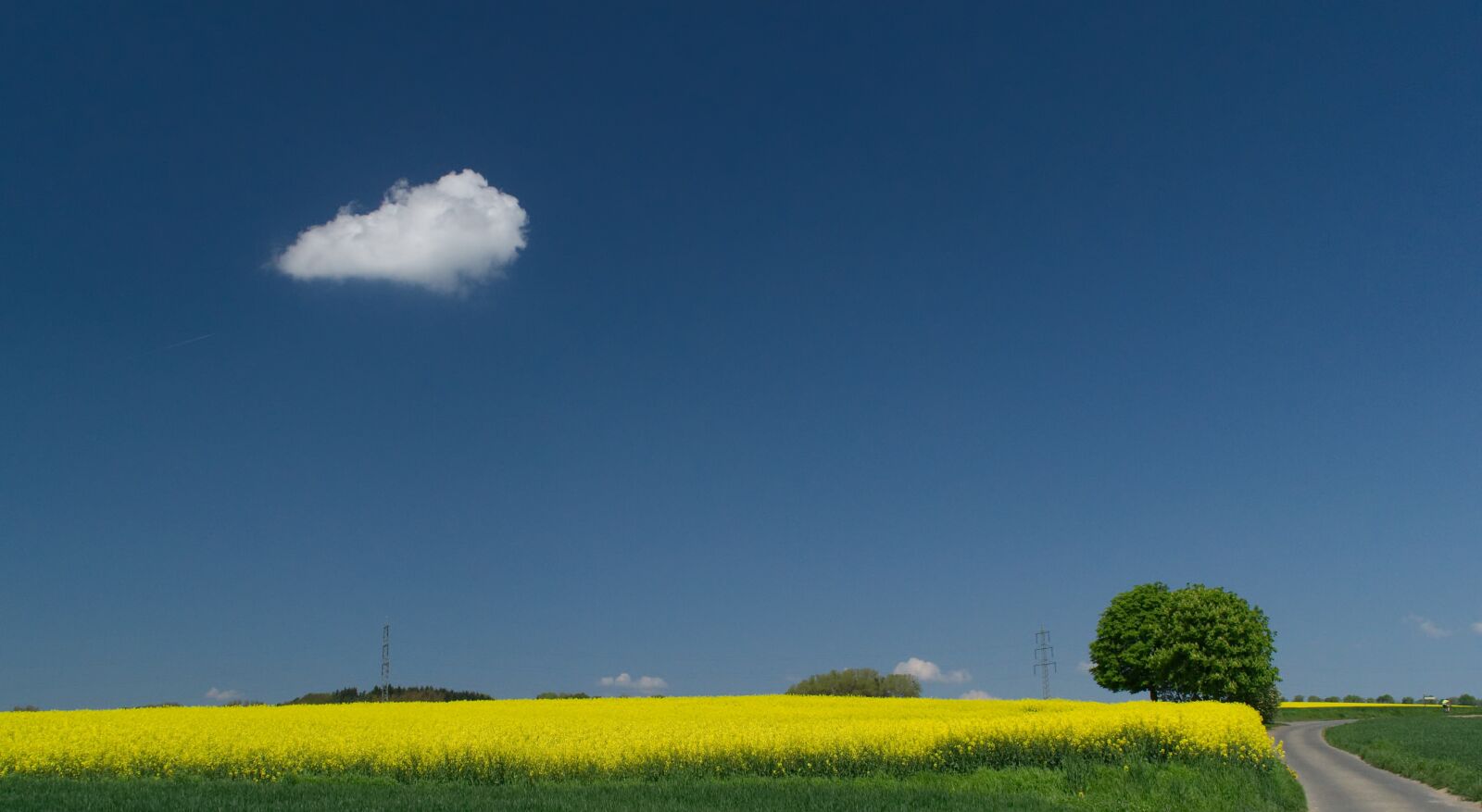 Nikon D3100 sample photo. Oilseed rape, field, sky photography