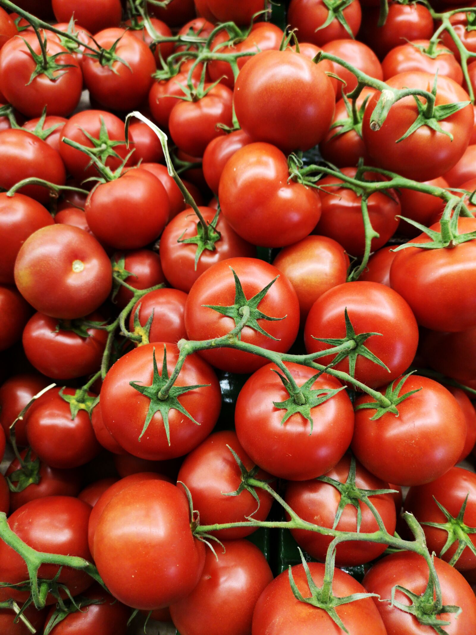 HUAWEI CLT-L09 sample photo. Tomato, red, materials photography