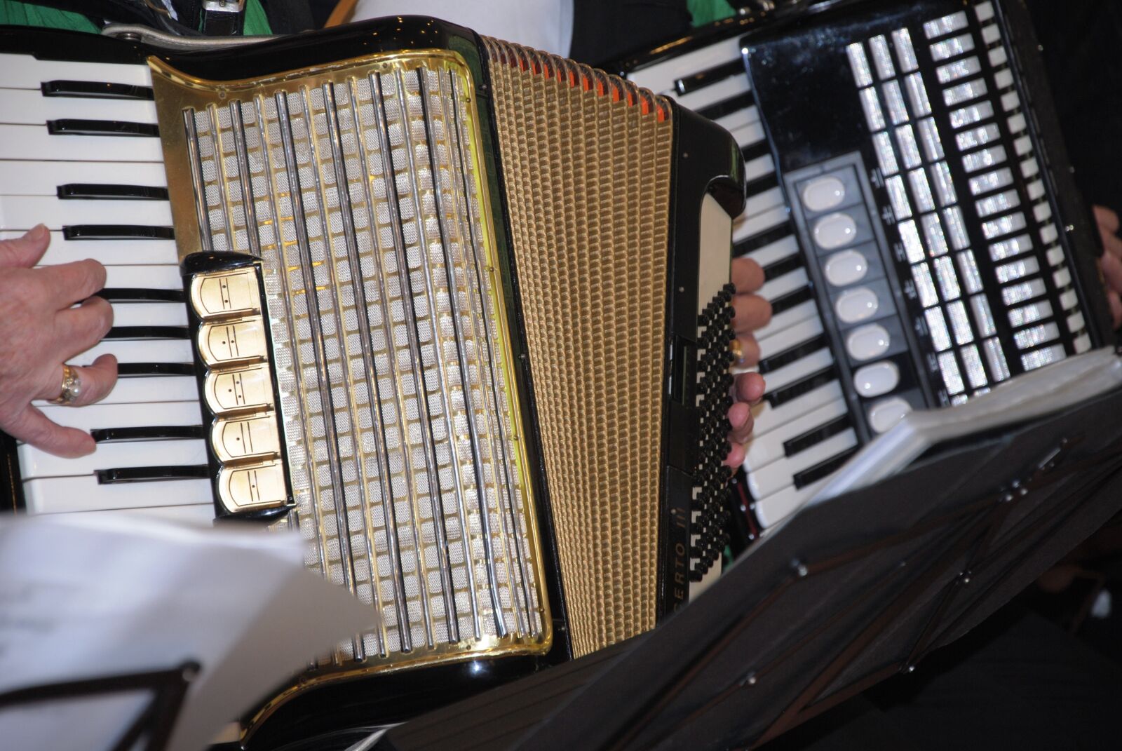 Nikon D3000 sample photo. Accordion, harmonica, music photography
