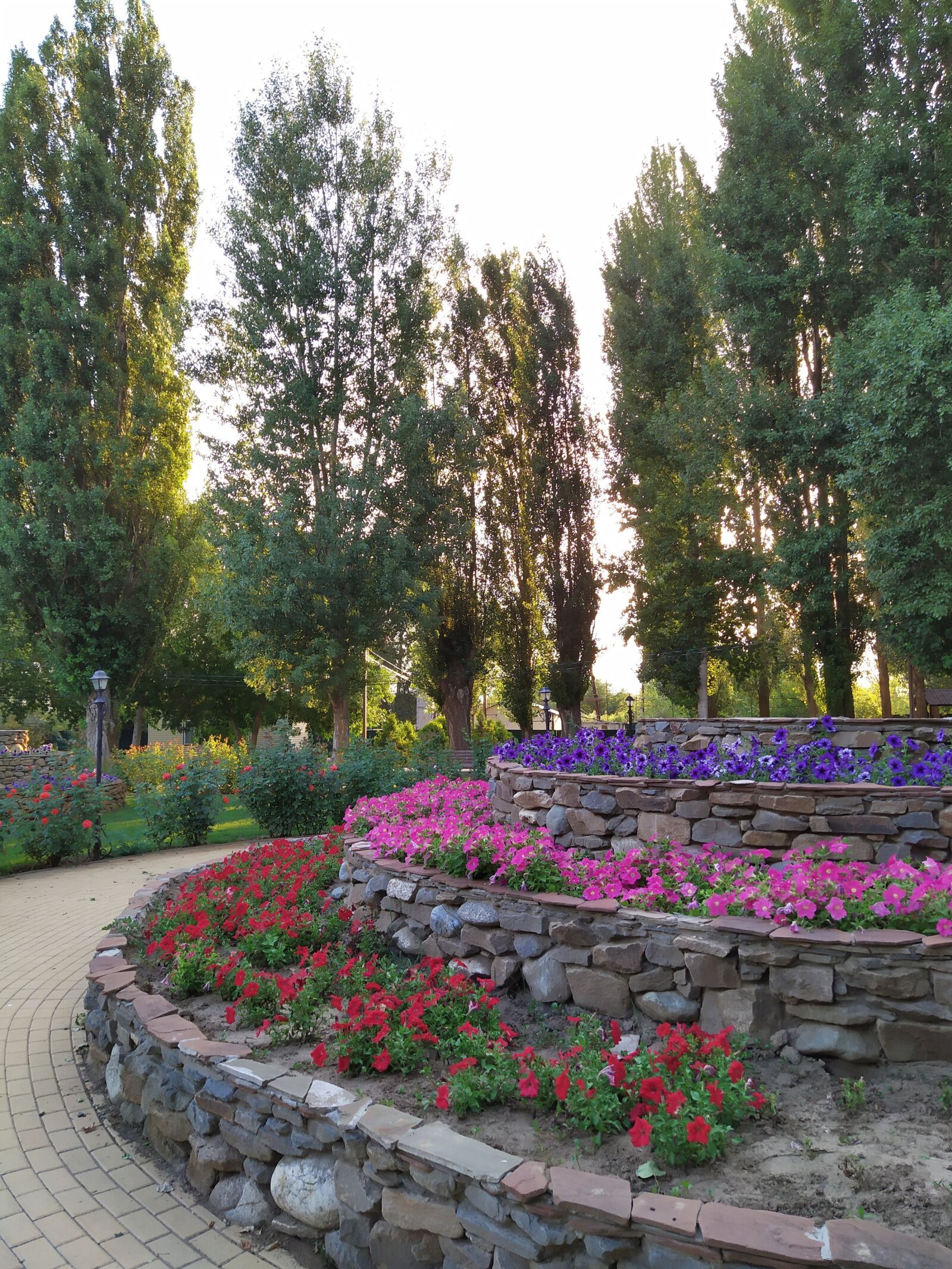 Xiaomi Redmi Note 7 sample photo. Beds, flowers, flora photography