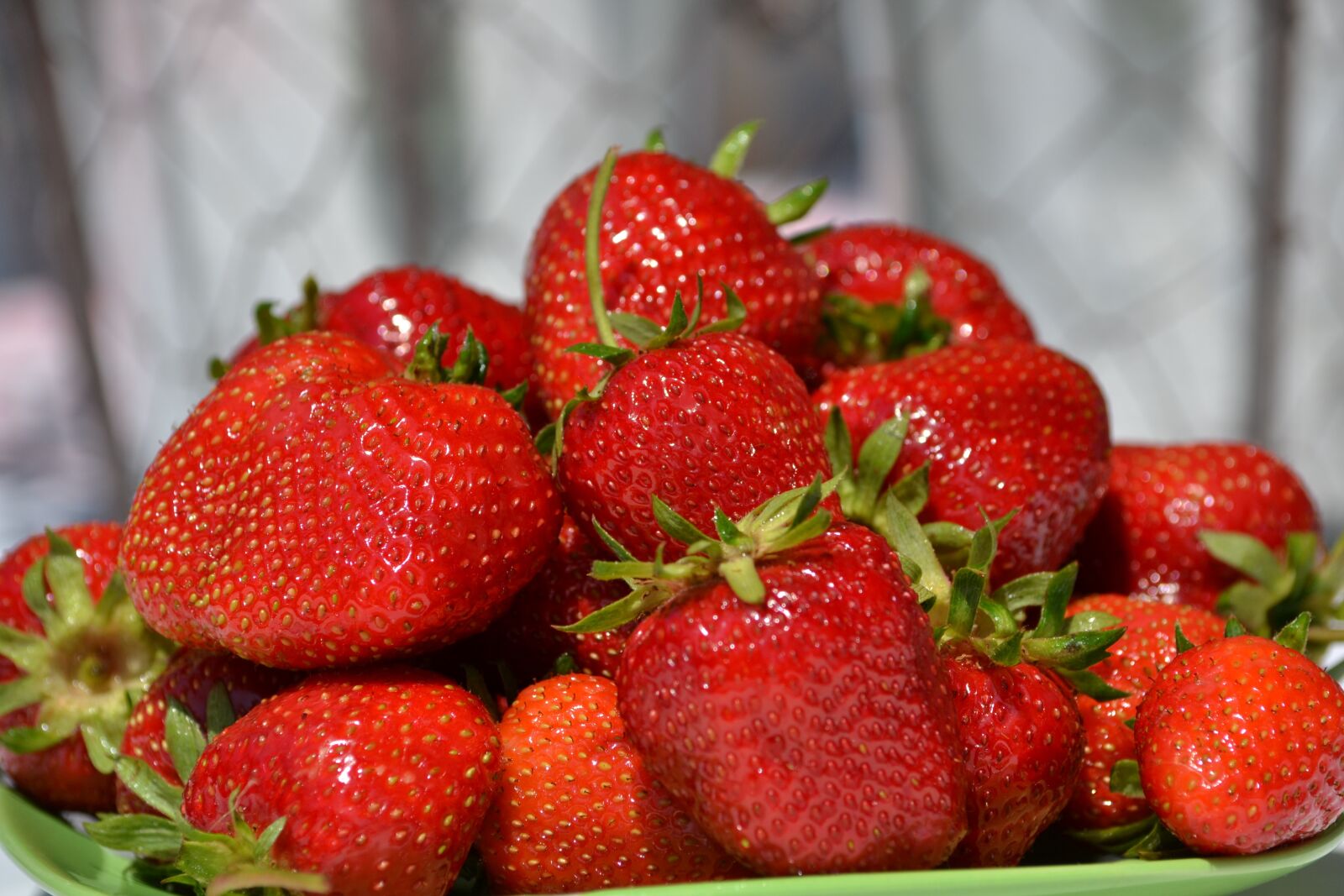 Nikon D3100 sample photo. Strawberries, fruit, red photography
