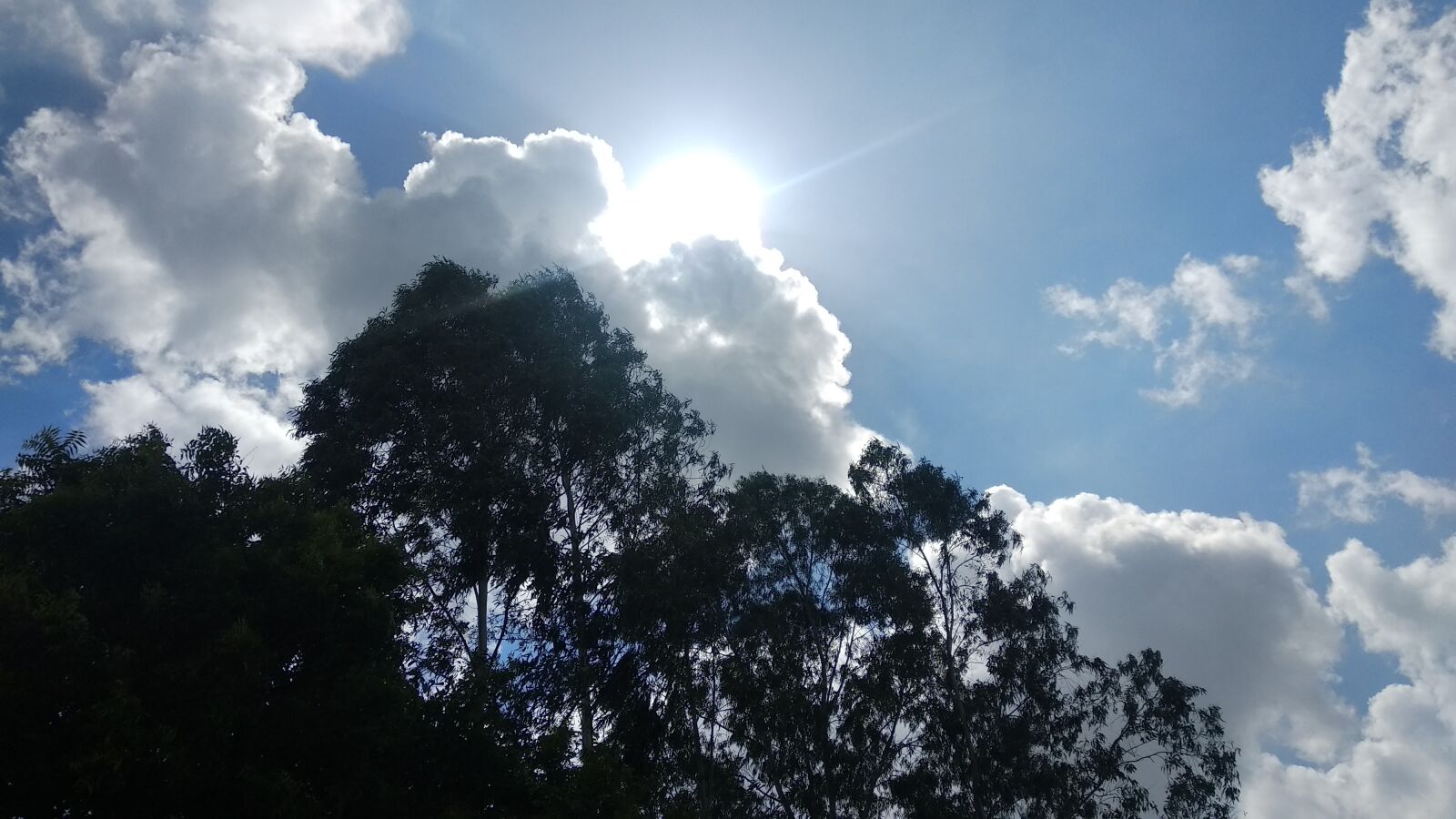 Xiaomi Mi A1 sample photo. Cloudy sky, sunny sky photography