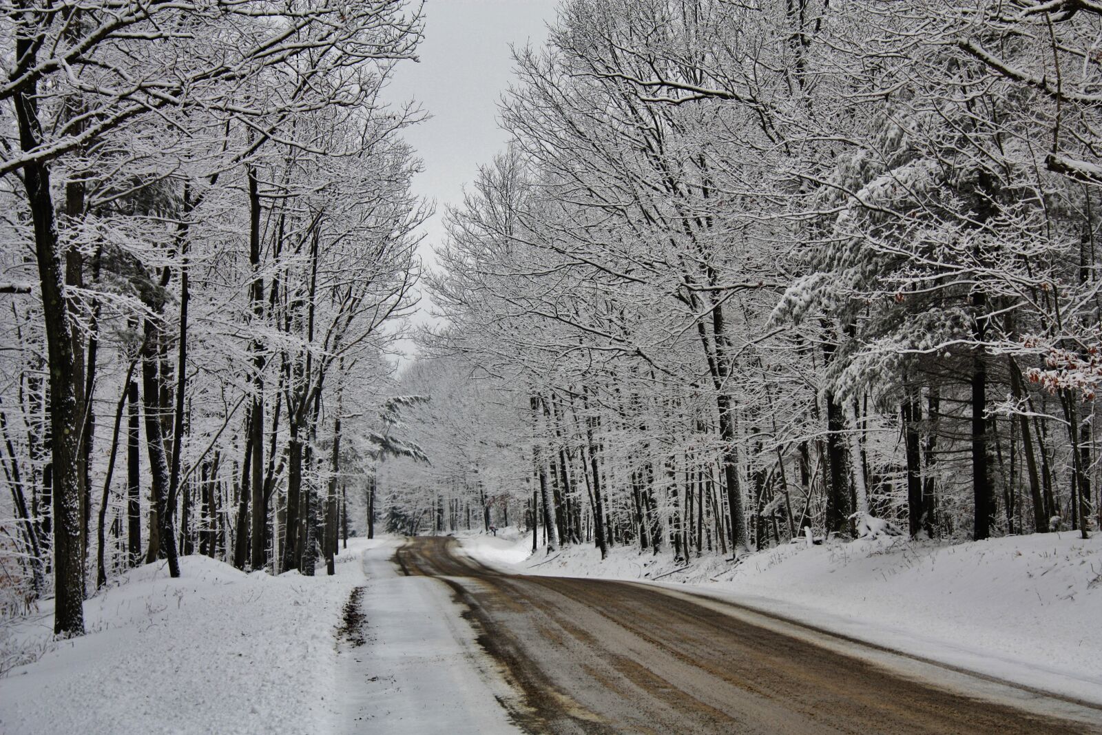 Canon EOS 450D (EOS Rebel XSi / EOS Kiss X2) sample photo. Winter, road, travel photography