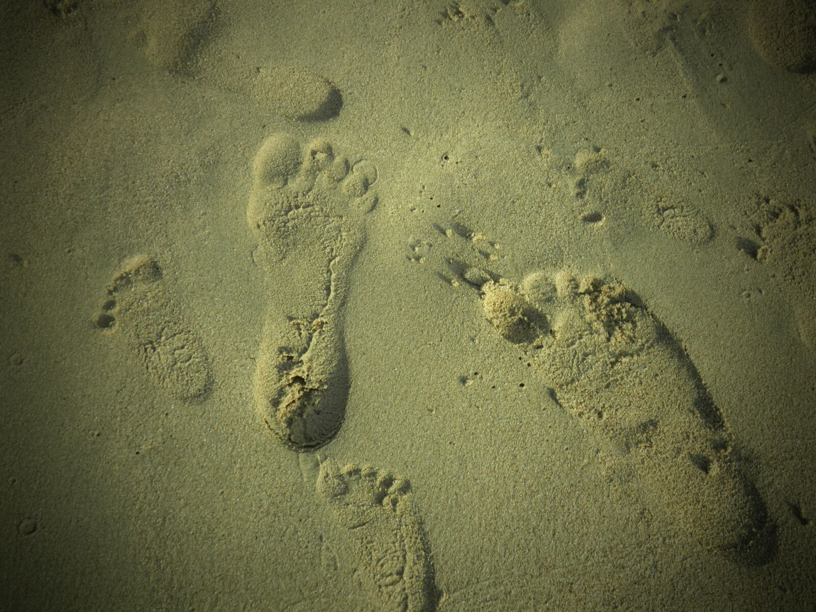 Olympus SP800UZ sample photo. Footprints, sand, beach photography