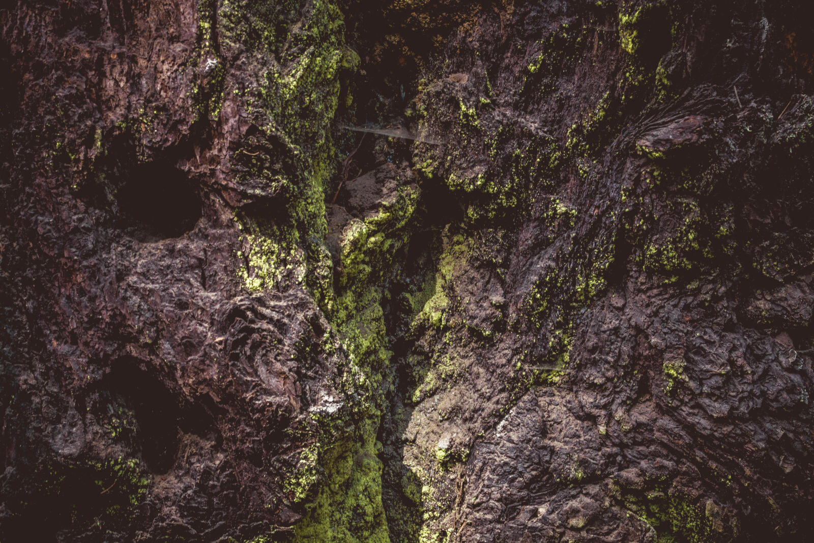 Nikon D5200 sample photo. Mossy, rocks, outdoors, pattern photography