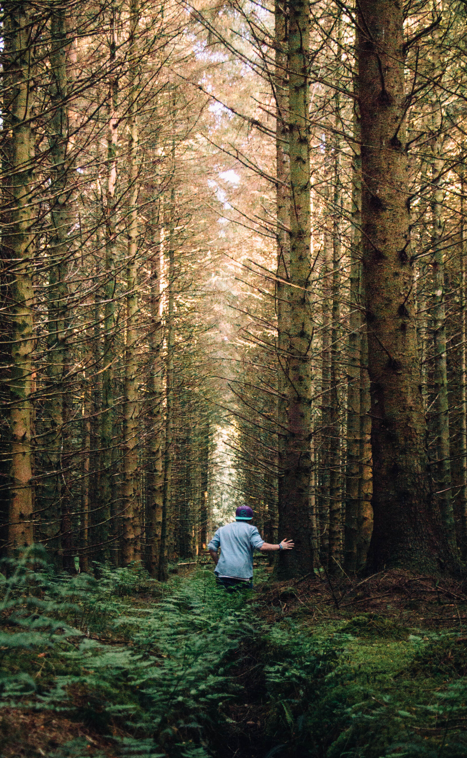 Canon EOS 70D sample photo. Man, in, a, forest photography