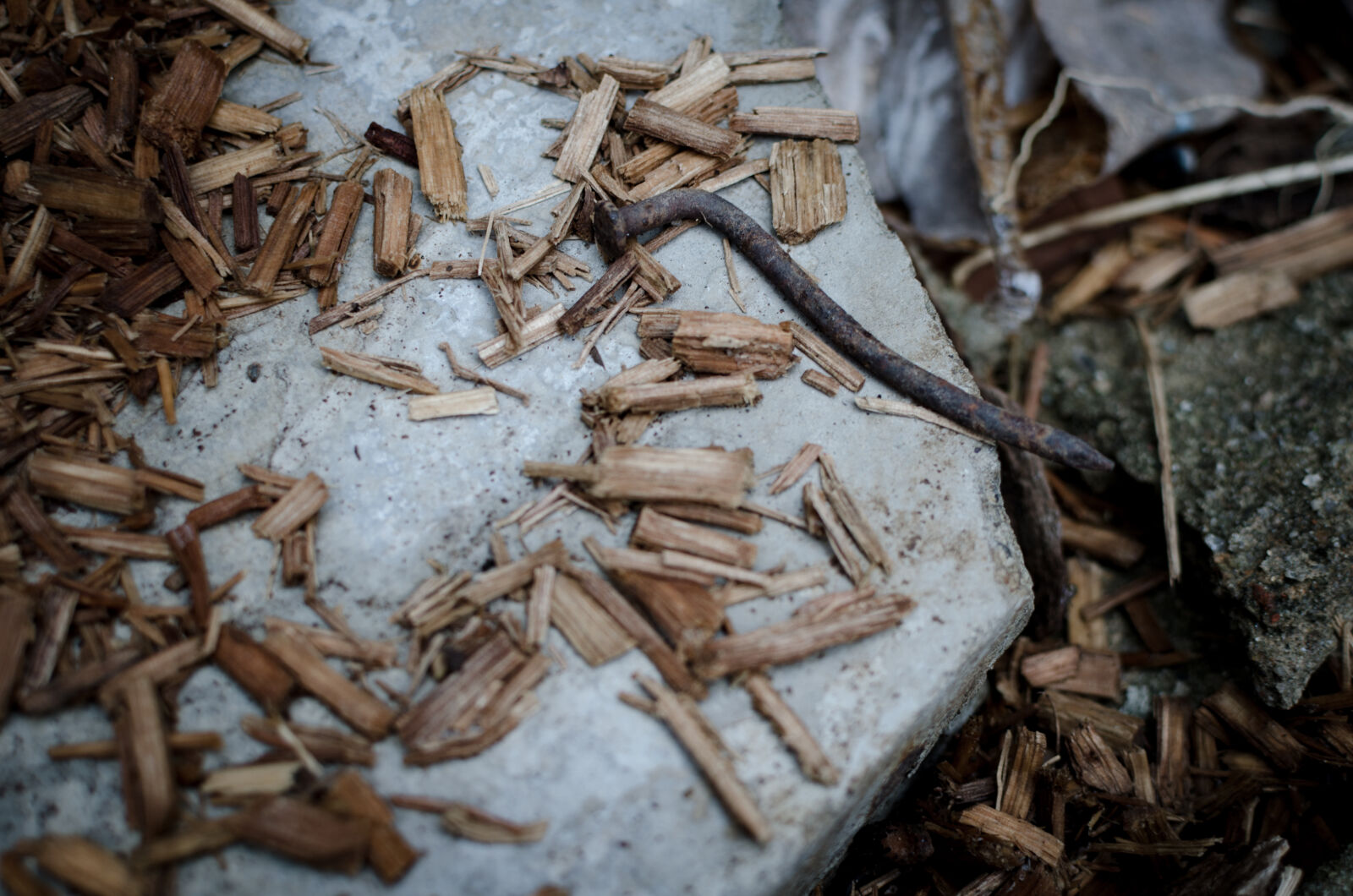 Nikon AF-S DX Nikkor 35mm F1.8G sample photo. Floor, nail, outdoor, stone photography