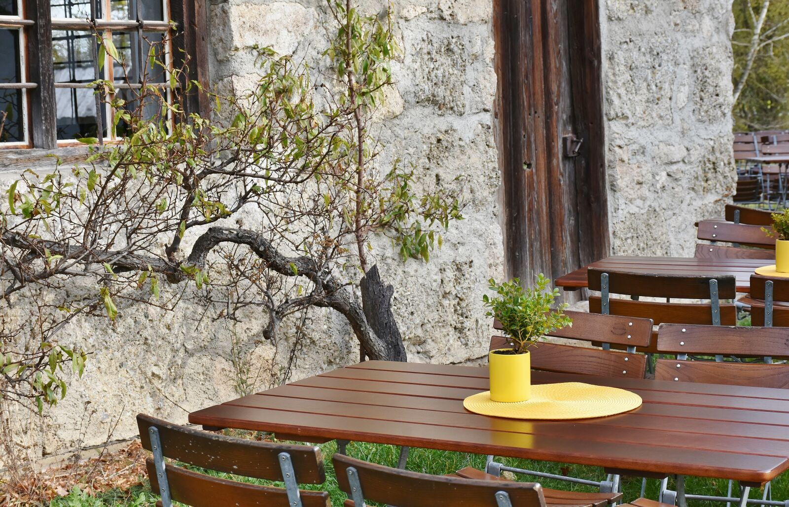 Nikon D7200 sample photo. Eat, drink, autumn photography