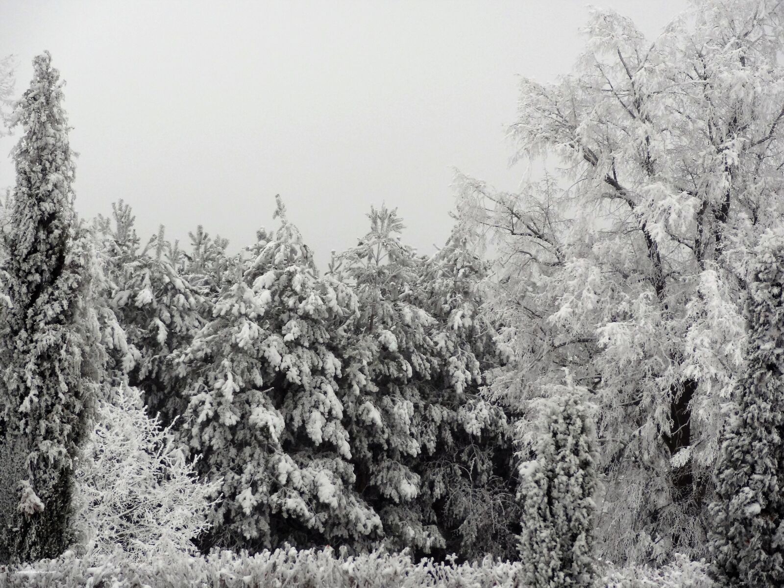 Sony Cyber-shot DSC-HX9V sample photo. Winter, snow, new year photography