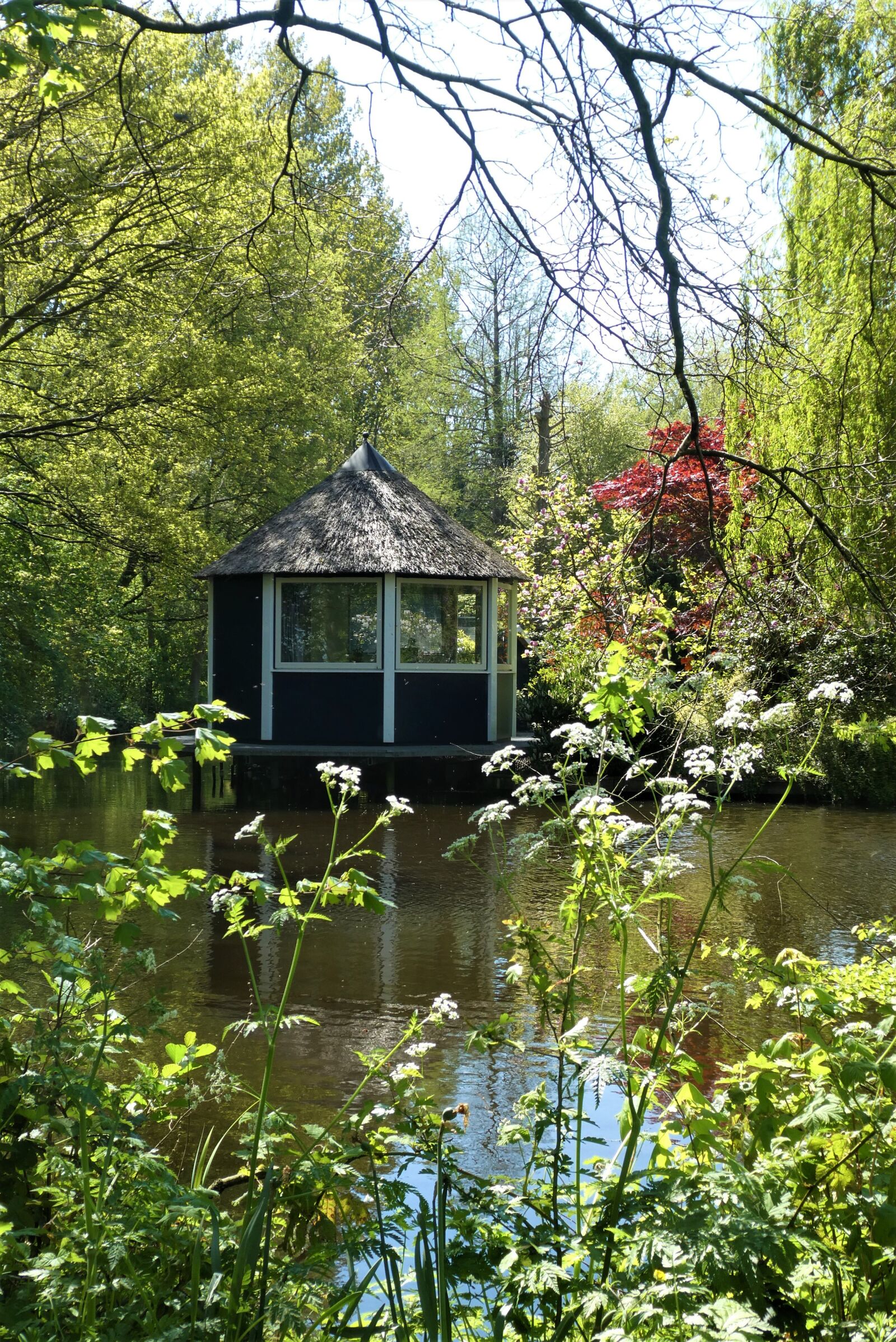 Panasonic Lumix DC-ZS70 (Lumix DC-TZ90) sample photo. House, garden shed, pond photography