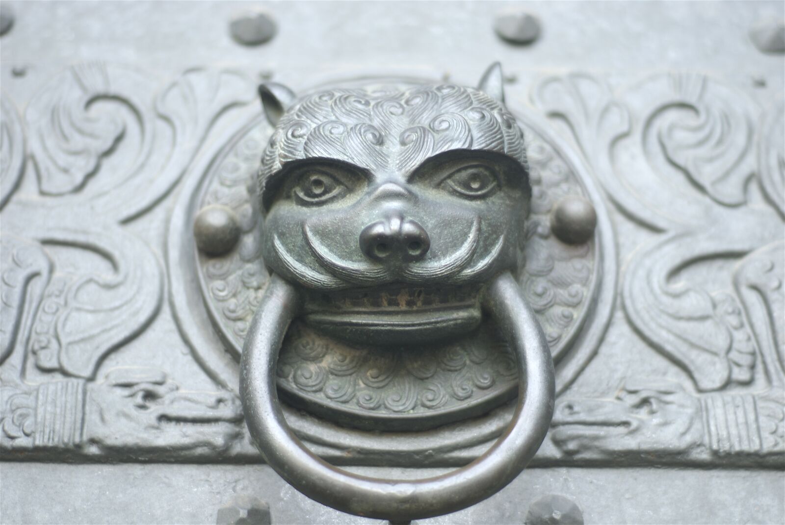 Nikon D200 sample photo. Door knocker, decorative, antique photography