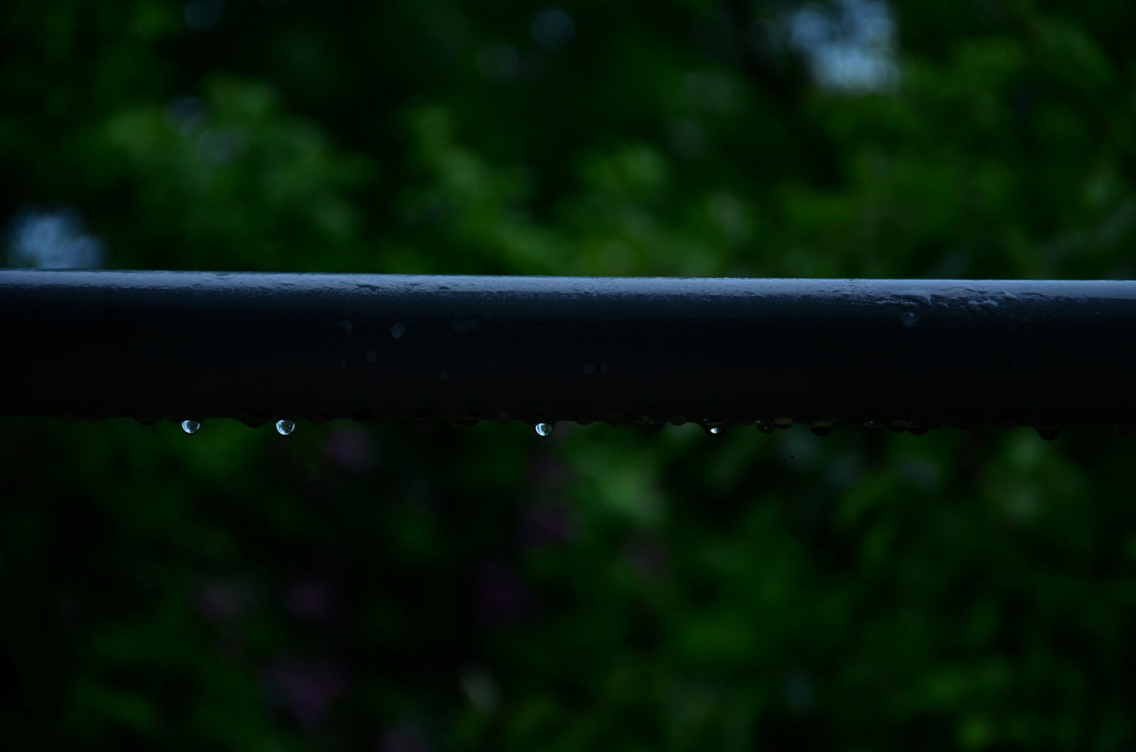 Nikon D5100 sample photo
