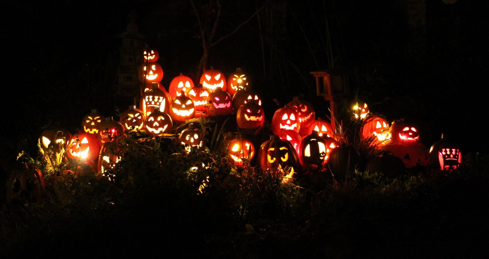 Canon EOS 1100D (EOS Rebel T3 / EOS Kiss X50) sample photo. Pumpkins, jack-o-lanterns, halloween photography