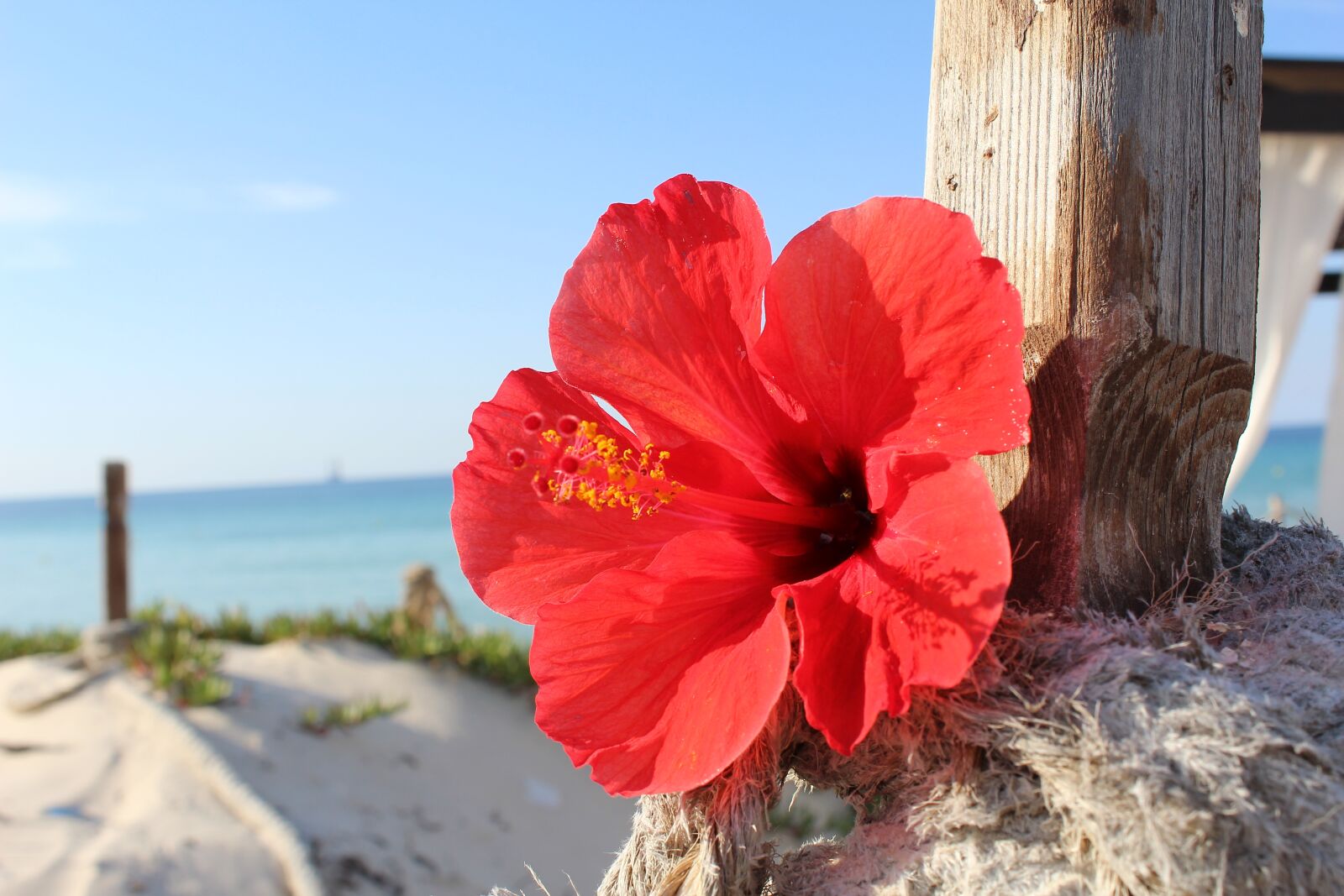 Canon EOS 600D (Rebel EOS T3i / EOS Kiss X5) sample photo. Tunisia, sea, journey photography