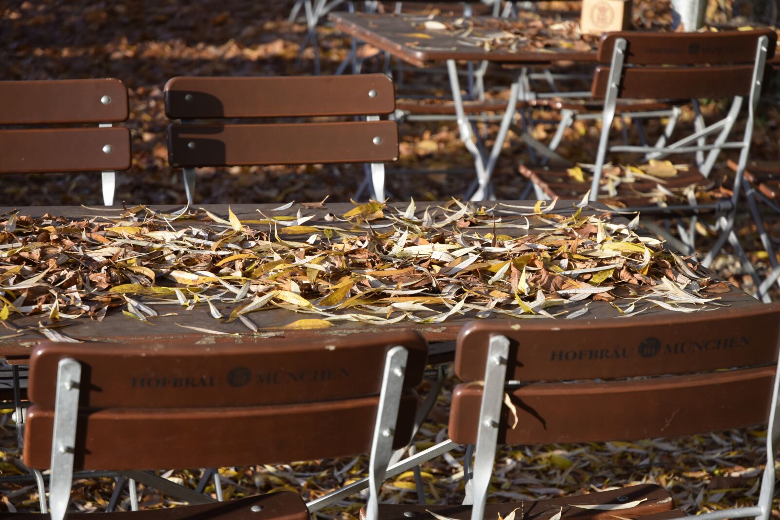 Nikon D5300 sample photo. Beer garden, autumn, leaves photography