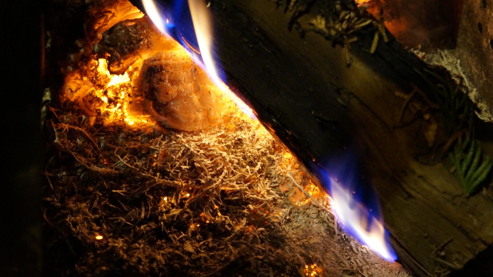 Sony Alpha a3000 sample photo. Fire, embers, burn photography