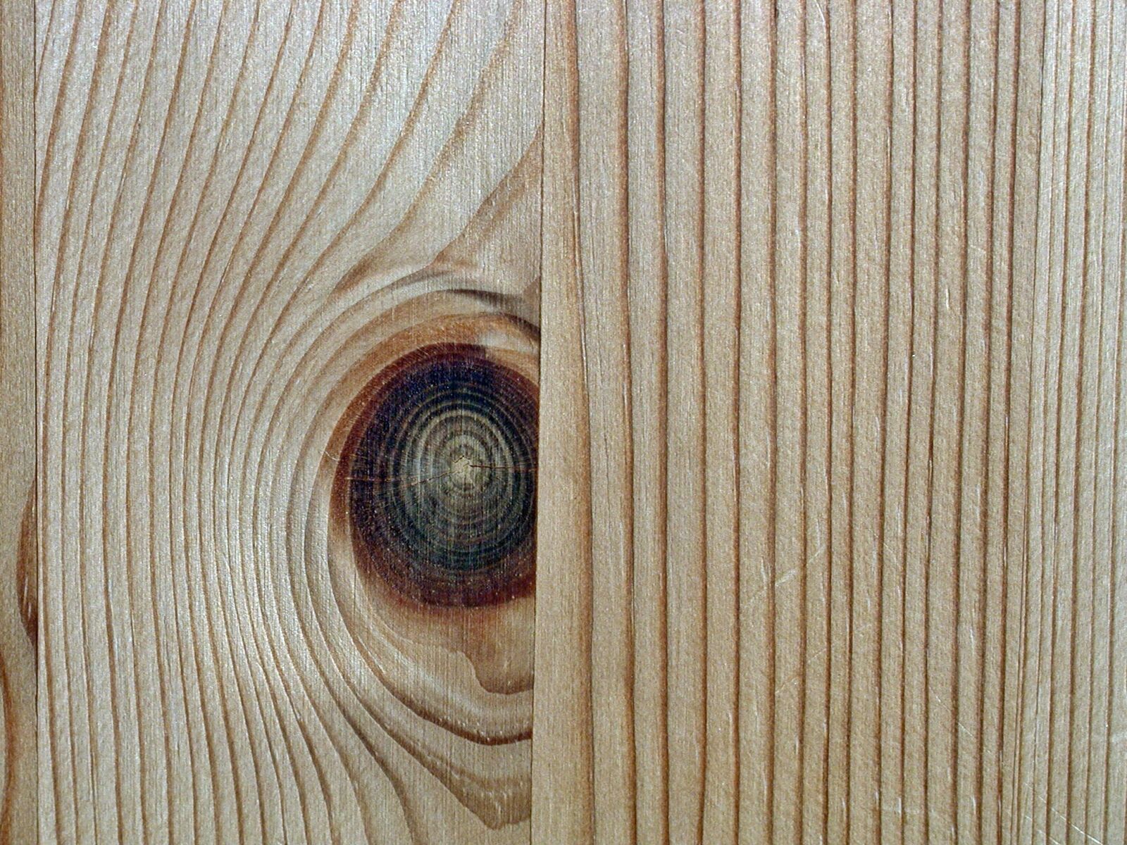 EPSON PhotoPC 3000Z sample photo. Wood, pine, background photography