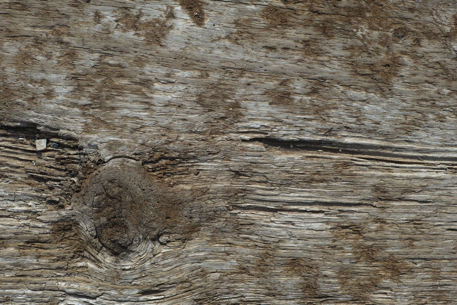 Sigma DP3 Merrill sample photo. Wood, wood-fibre boards, parquet photography