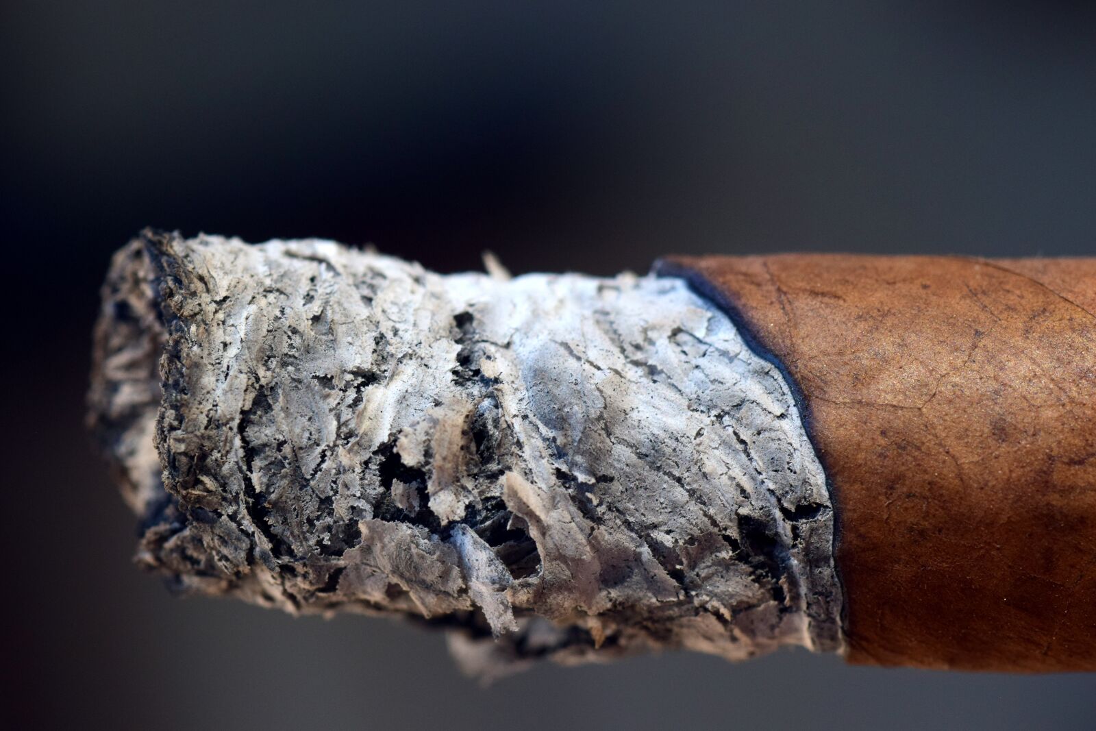 Nikon D3300 sample photo. Ash, cigar, smoking photography