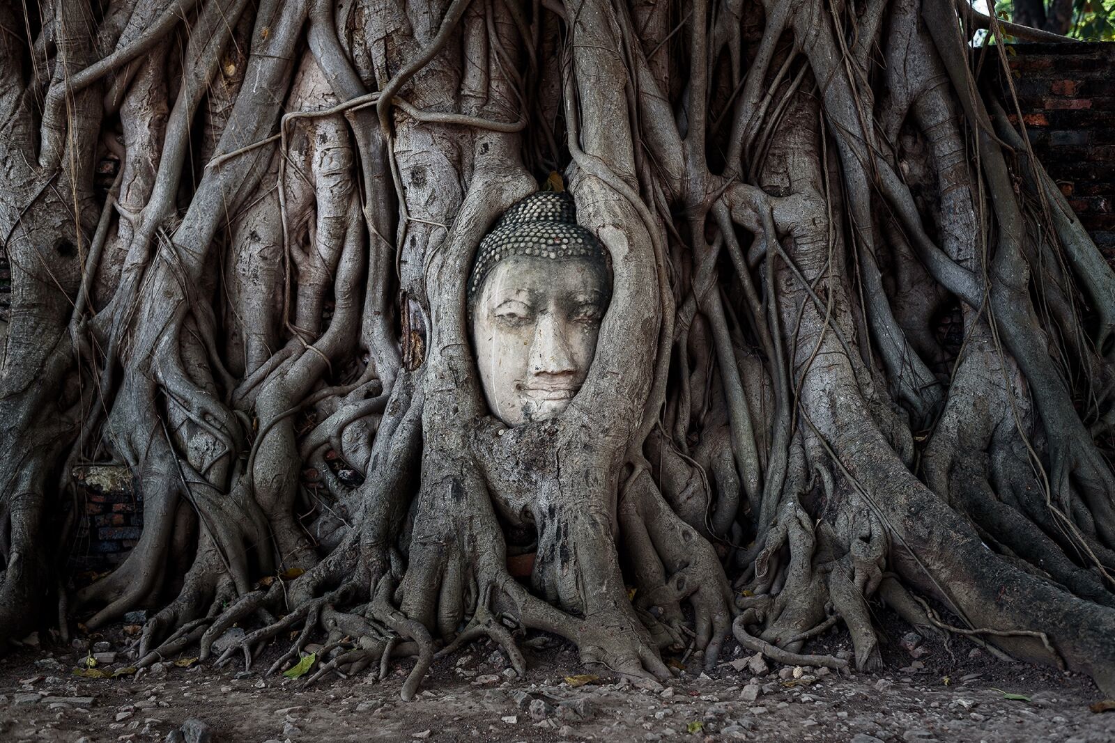 Nikon D750 sample photo. Thailand, asia, buddha photography