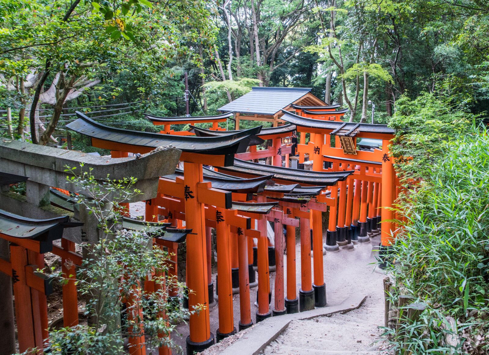 Sony a7R II + Sony FE 24-240mm F3.5-6.3 OSS sample photo. Kyoto, japan, fushimi inari photography