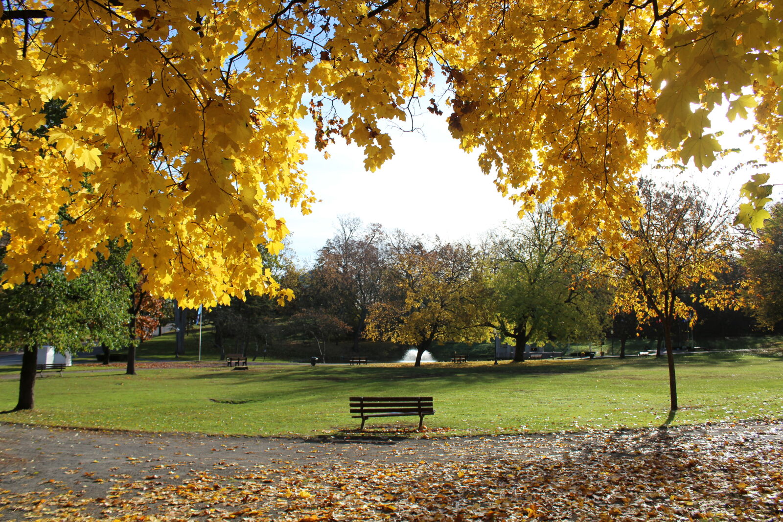 Canon EOS 1200D (EOS Rebel T5 / EOS Kiss X70 / EOS Hi) sample photo. August, bench, fall, green photography