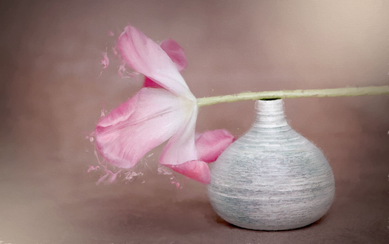 Nikon D750 sample photo. Image, painting, flower photography
