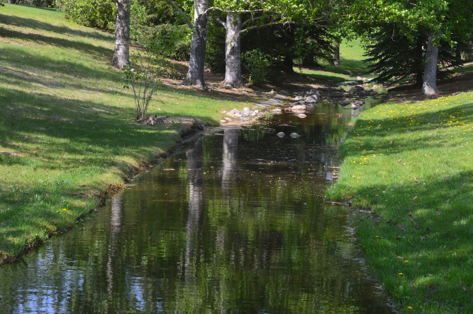 Nikon D3200 sample photo. Stream, reflection, trees photography