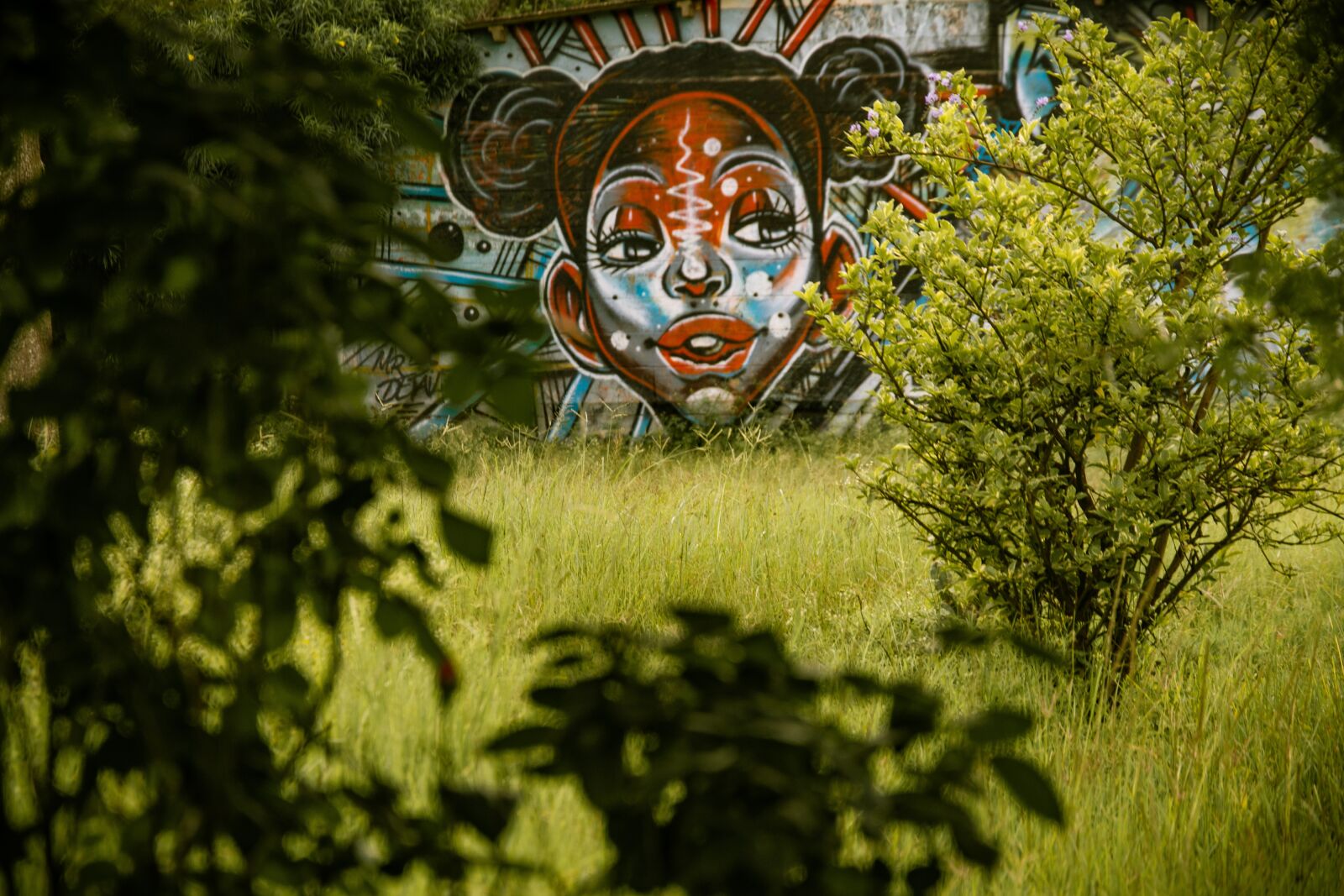 Nikon D3300 sample photo. Vegetation, paintings, nairobi photography