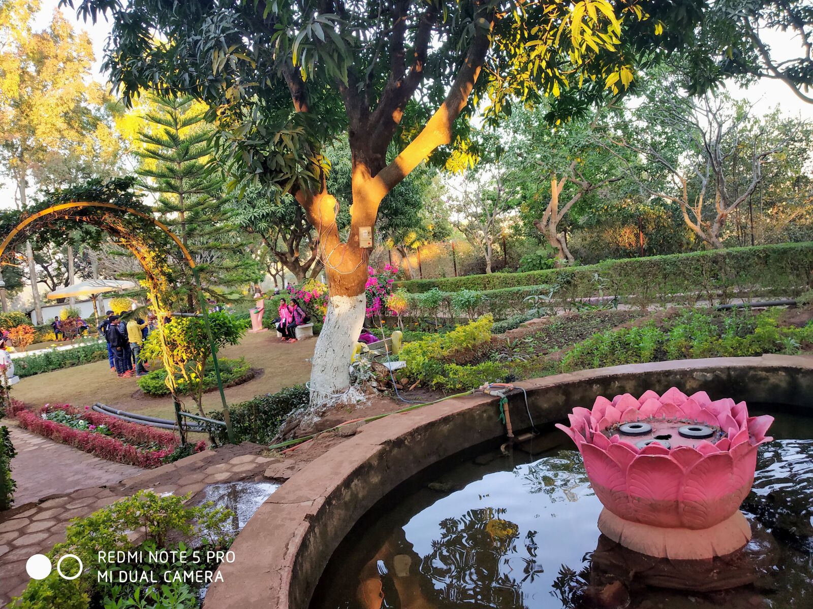 Xiaomi Redmi Note 5 Pro sample photo. Park, flowers, nature photography