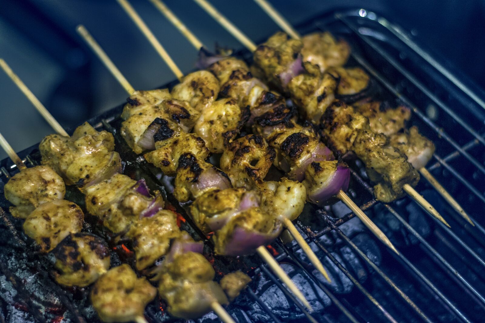 Nikon D3300 sample photo. Grilled, chicken, food photography