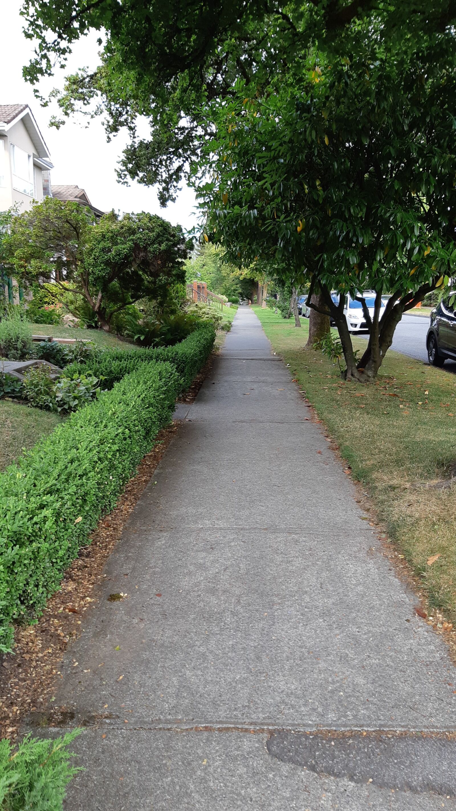 Samsung Galaxy A8(2018) sample photo. Sidewalk, afternoon, summer photography