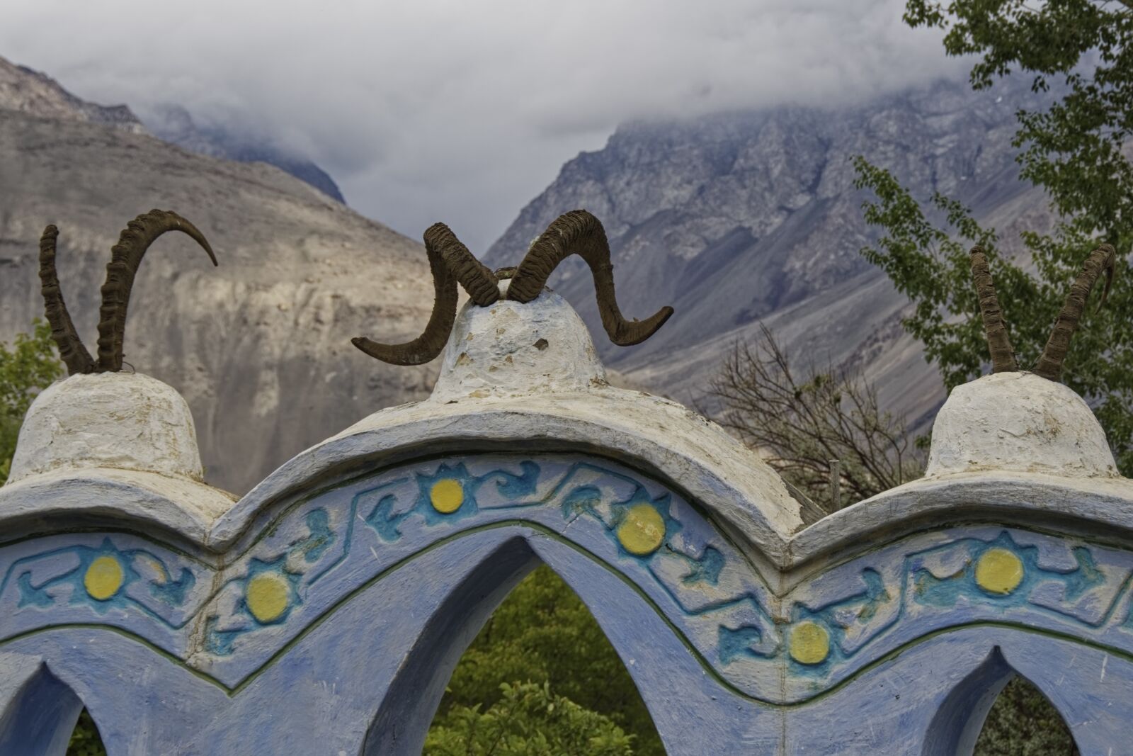 Nikon D500 sample photo. Tajikistan, vrang wall, antlers photography