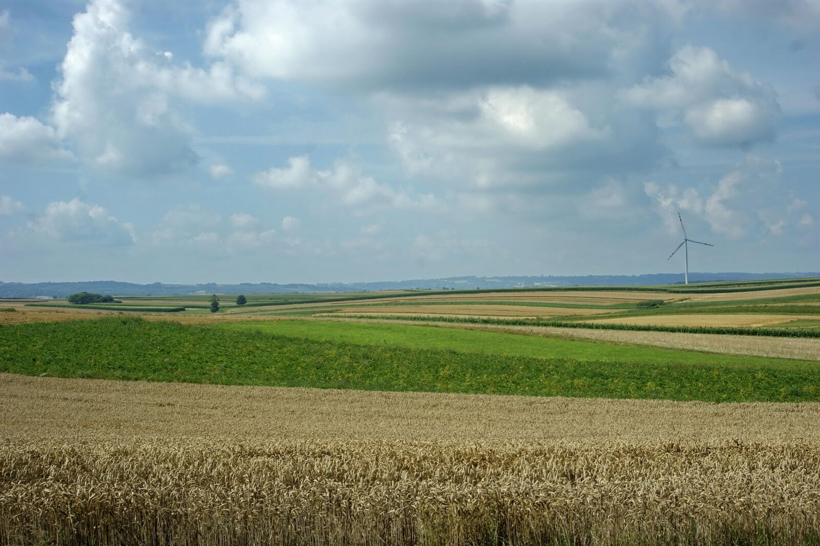 Sony Alpha DSLR-A290 sample photo. Blue sky, clouds, windmill photography