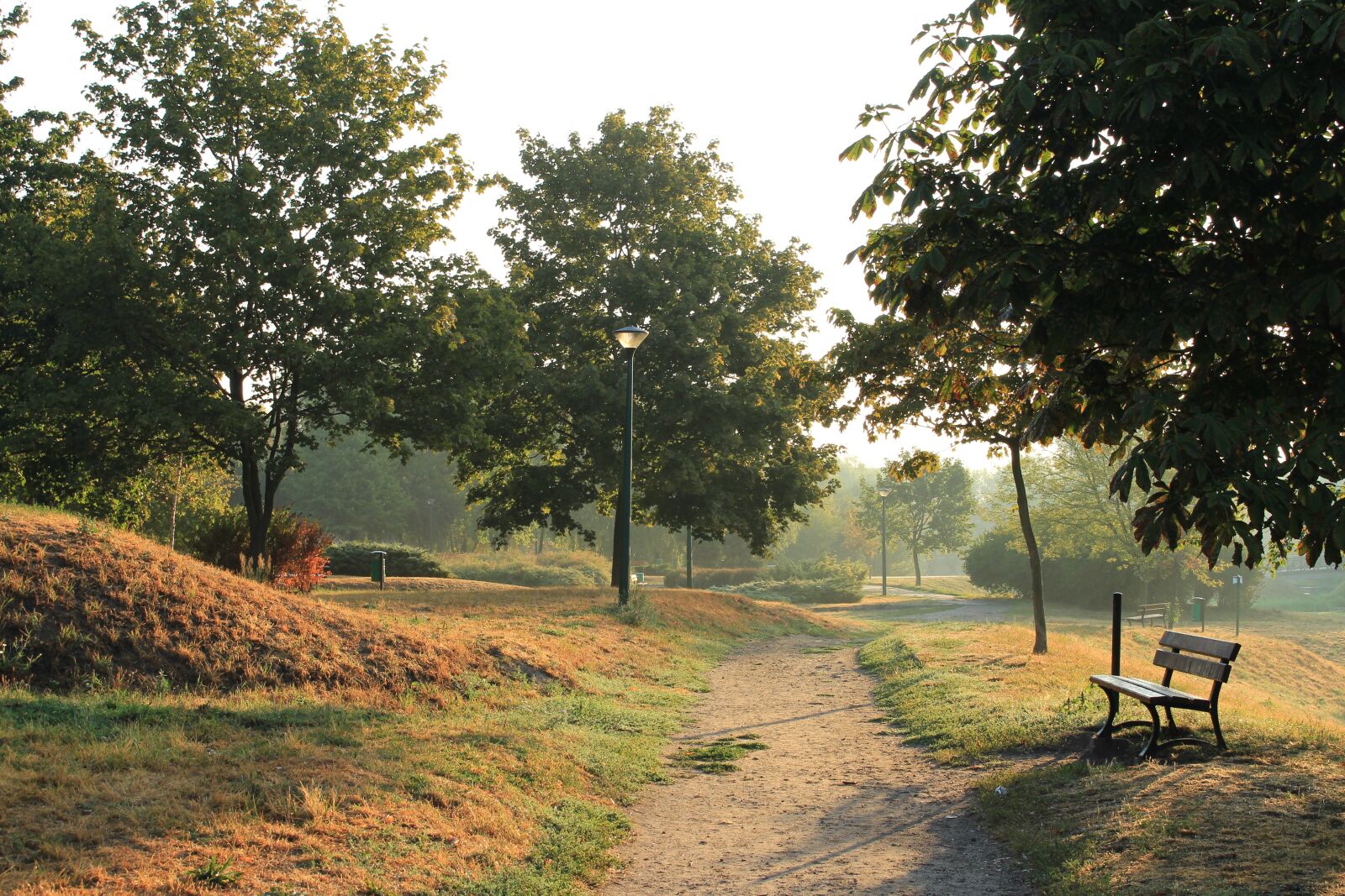 Canon EOS 700D (EOS Rebel T5i / EOS Kiss X7i) sample photo. Morning, park, tree photography