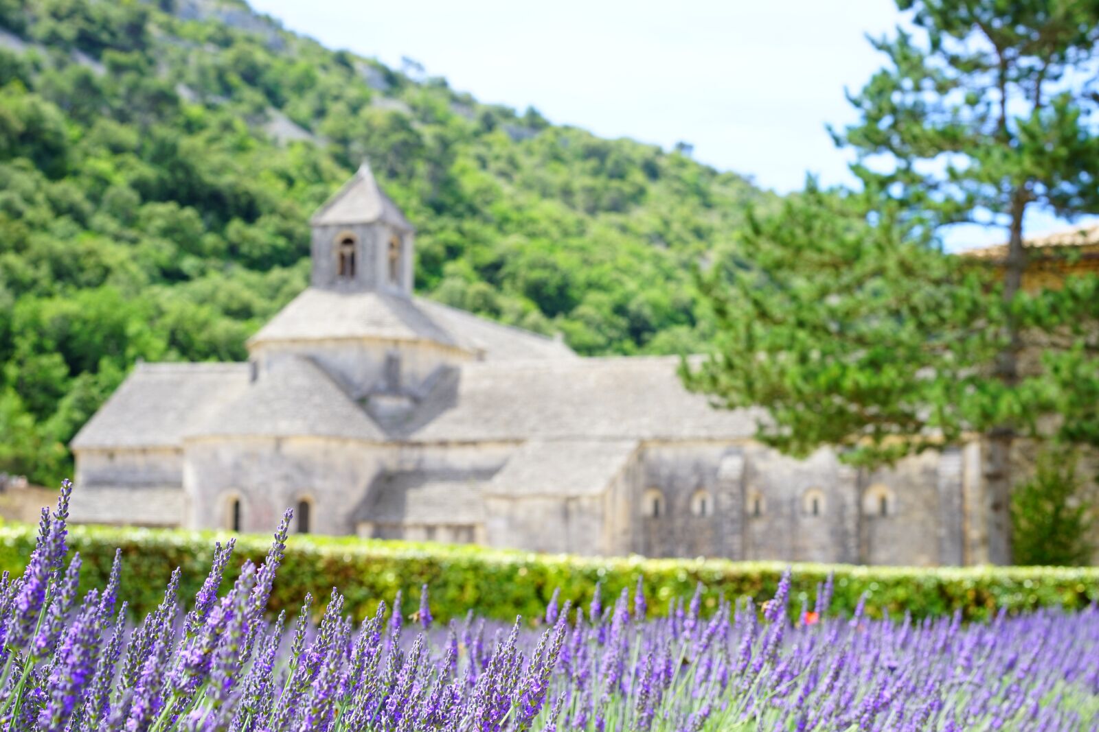 Sony a7 + Sony Sonnar T* FE 55mm F1.8 ZA sample photo. Abbaye de s nanque photography