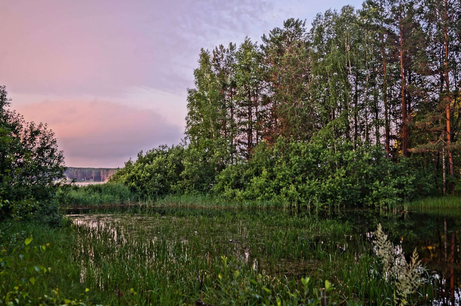 Sony SLT-A57 sample photo. Forest, water, silence photography