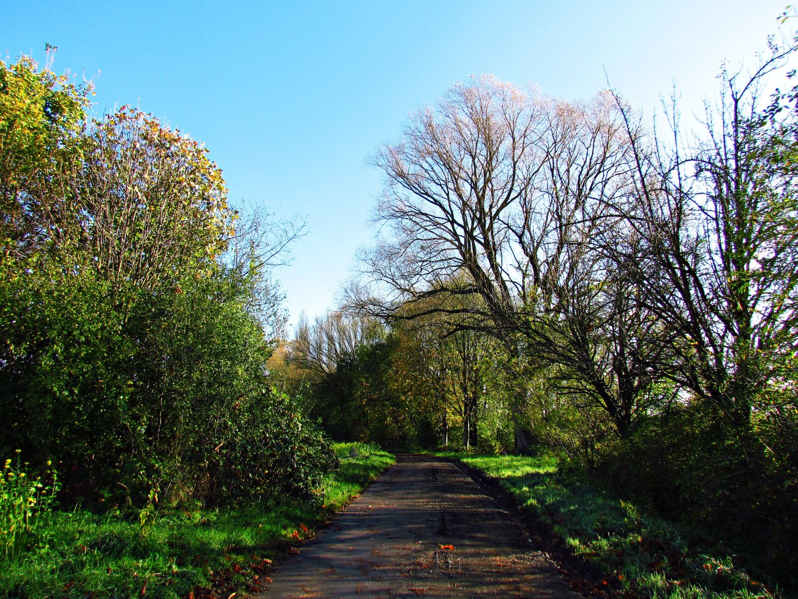 Canon PowerShot SX30 IS sample photo. Landscape, autumn, nature photography
