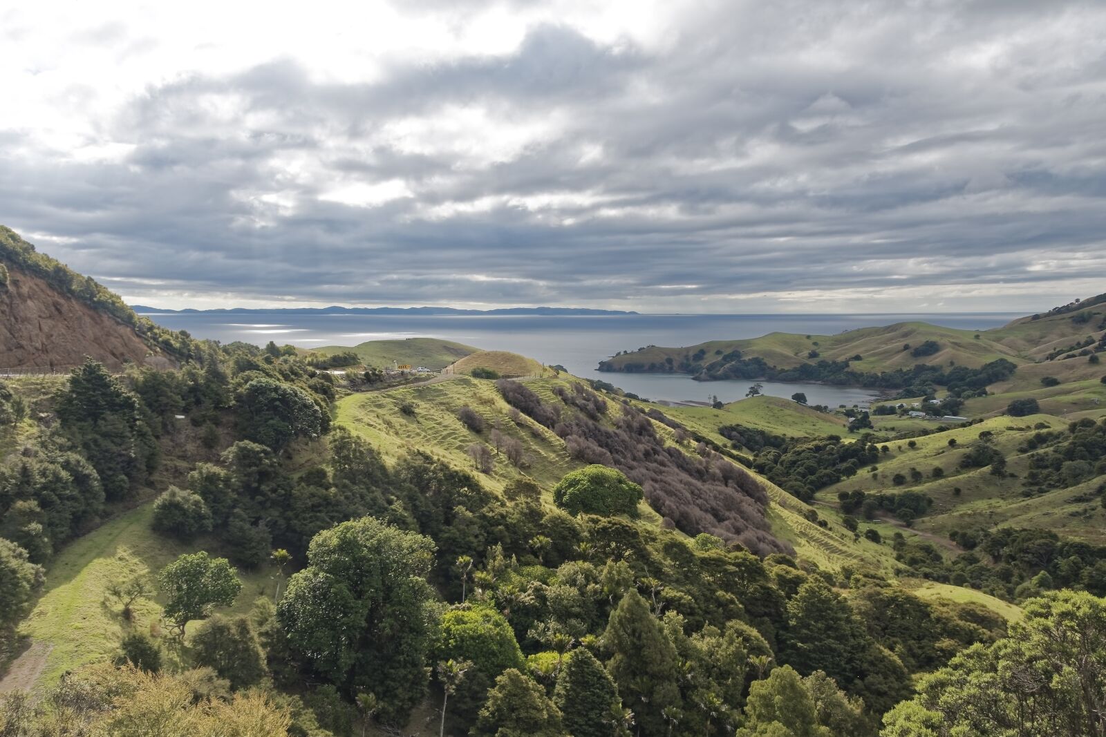 Nikon D500 sample photo. New zealand, coromandel, nature photography